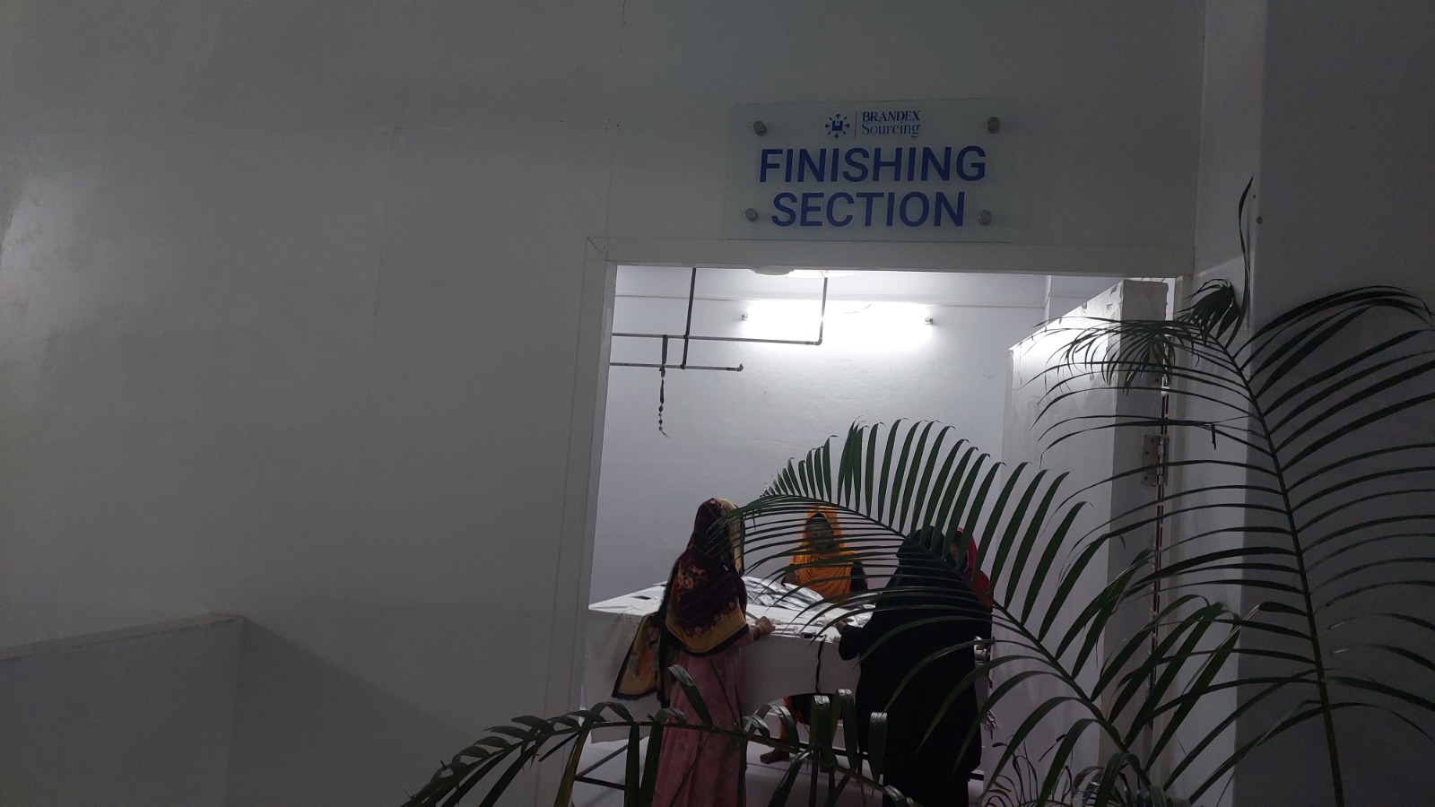 Premium Cotton Shipment